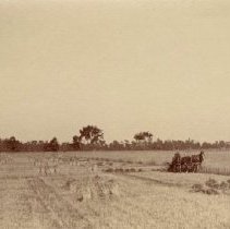 Omc1985.008.060 Image 600dpi